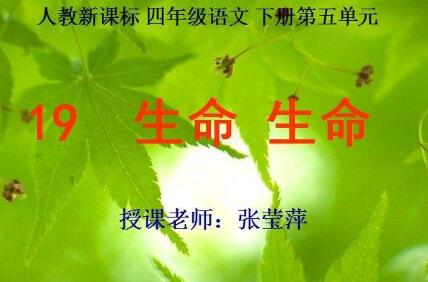 《生命生命》读后感400字.jpg