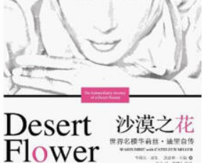 寒风中的玫瑰花——读《沙漠之花》有感400字.png