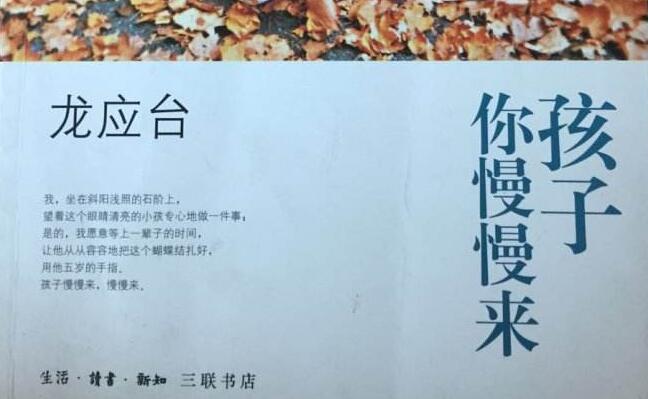 龙应台散文集《孩子，你慢慢来》读后感1500字.jpg