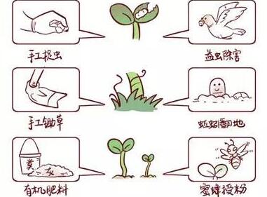 《豆豆生长记》读后感400字.jpg