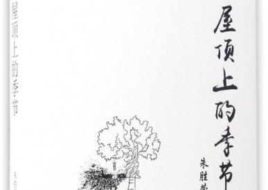 《屋顶上的季节》读后感800字.jpg