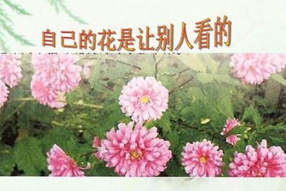 《自己的花是给别人看的》读后感600字.jpg