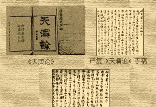 《天演论》观后感300字.jpg