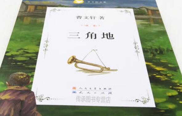 《三角地》读后感600字.jpg