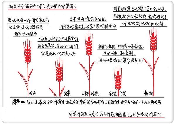 《麦田里的守望者》读书笔记摘抄与思维导图.jpg